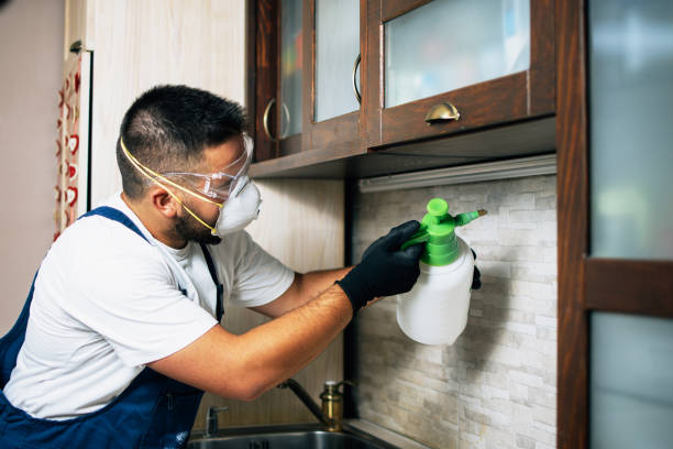 Best Wasp Removal Services  in Sun Valley, NV