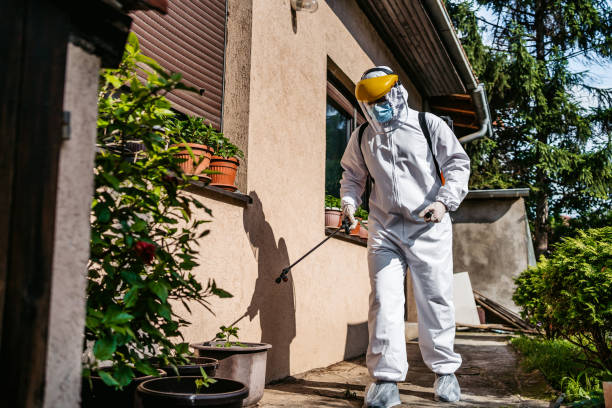 Pest Control Cost in Sun Valley, NV