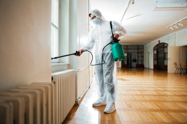 Best Commercial Pest Control Services  in Sun Valley, NV